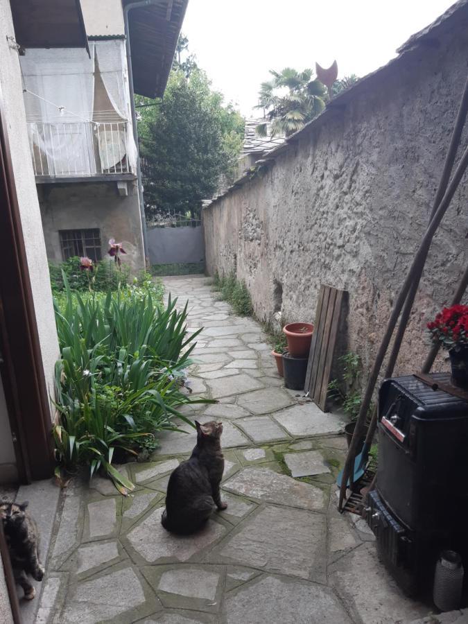 La Marmotta Hotel Luserna San Giovanni Eksteriør billede