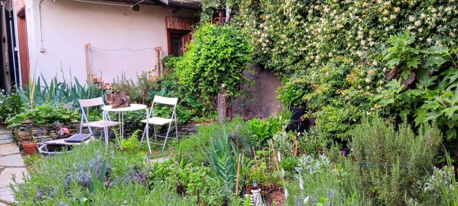 La Marmotta Hotel Luserna San Giovanni Eksteriør billede
